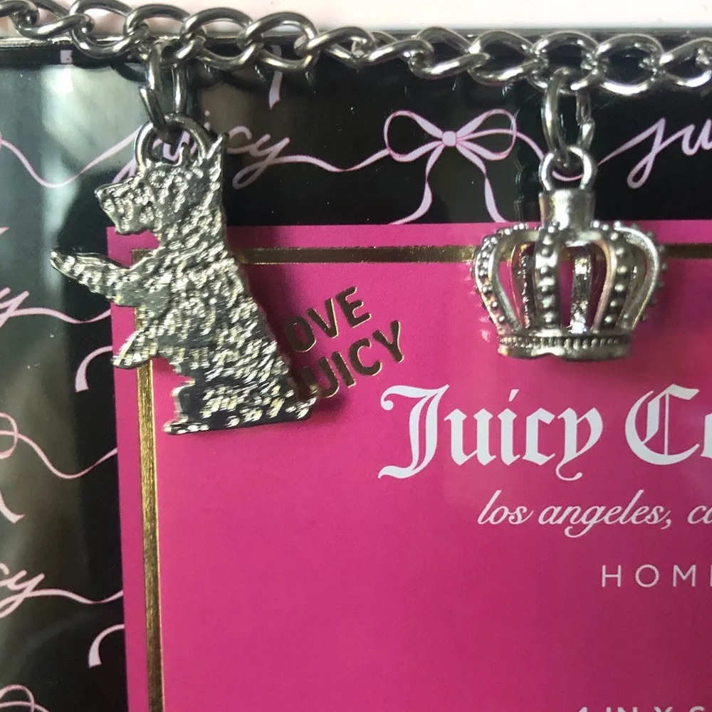 NEW Juicy Couture Light Pink Frame with 4 Silver Charms & Chain